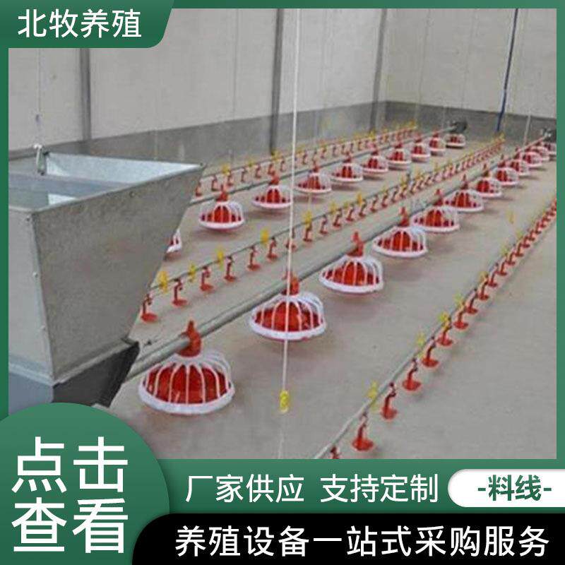 源头厂家 全自动喂鸡料线 鸡鸭鹅平养喂料喂水线 养殖设备料线