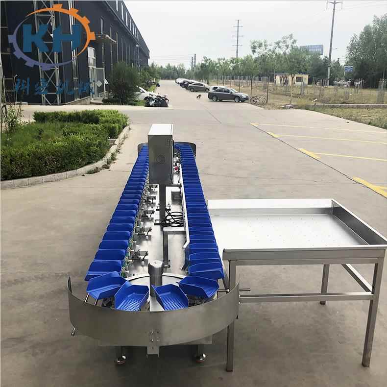 链条式GRE牡蛎重量宏分选机 分鸡爪鸡翅自动科拣机 猪蹄重量分级