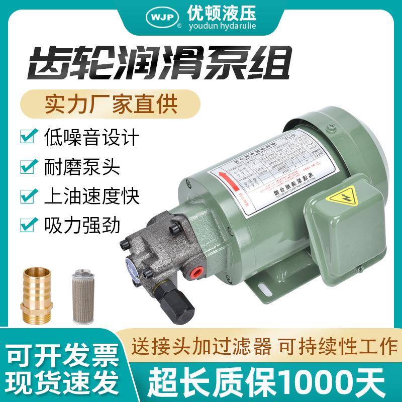小型380V润滑泵三角摆线泵液压齿轮泵2A13A维良油泵电机
