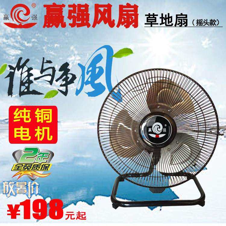 赢强/盈强电风扇铁风扇草地扇摇头趴地扇工业商用风扇全铜线电机