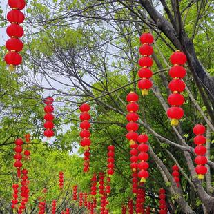 元旦新年大红拉丝灯笼345连串户外防水室外防晒灯笼挂树花灯挂饰