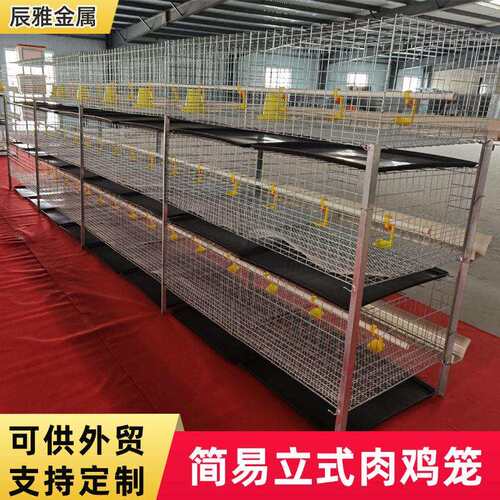H型立式肉鸡笼养鸡笼大型农场养殖畜牧带水桶绿食槽多层叠肉鸡笼