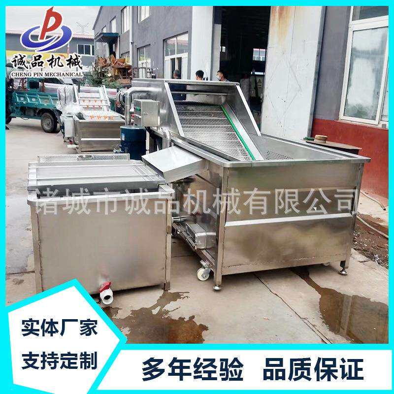 喷淋式大型翻浪式大姜清洗机龙须菜芹菜海鲜去杂质设备生姜清洗机