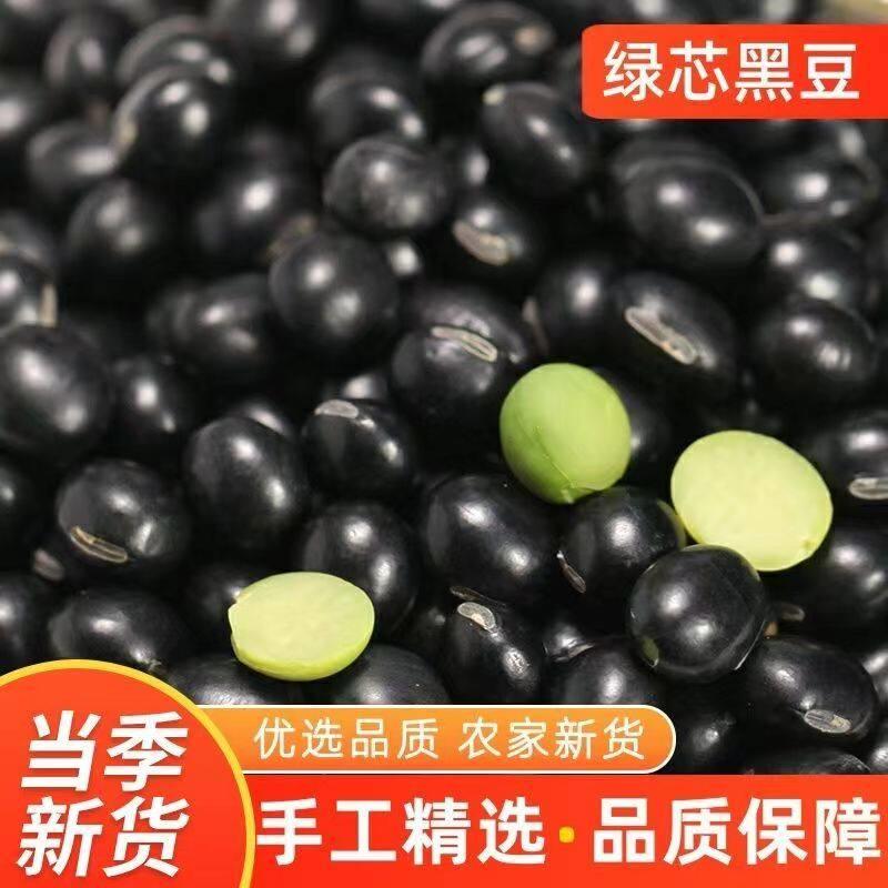 农家自种黑豆老品种绿芯黑小豆醋泡煮粥打豆浆发豆芽菜青仁黑豆子