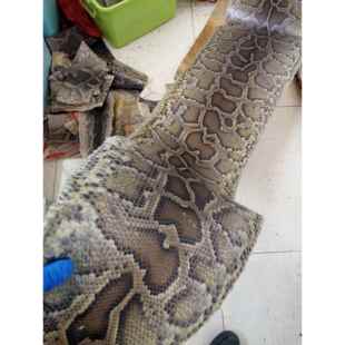 整条金花蟒皮二胡蟒皮 扎木聂三弦蟒皮金花蟒皮 二胡蒙皮三弦蒙皮