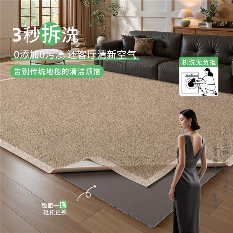 可拆洗可机洗地毯客厅母婴级轻奢垫子无胶无甲醛防水家用双层地垫