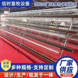 A型阶梯蛋鸡笼源头厂家四层四门阶梯蛋鸡笼热镀锌鸡舍家用养殖场