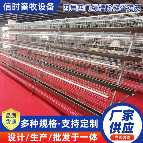 A型阶梯蛋鸡笼源头厂家四层四门阶梯蛋鸡笼热镀锌鸡舍家用养殖场