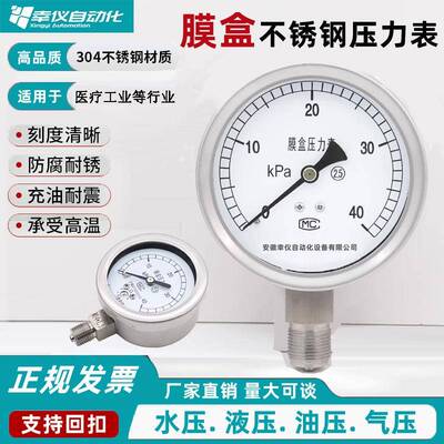 不锈钢膜盒压力表YE100BFkpa微压表膜片ye天然气mbar抗耐震