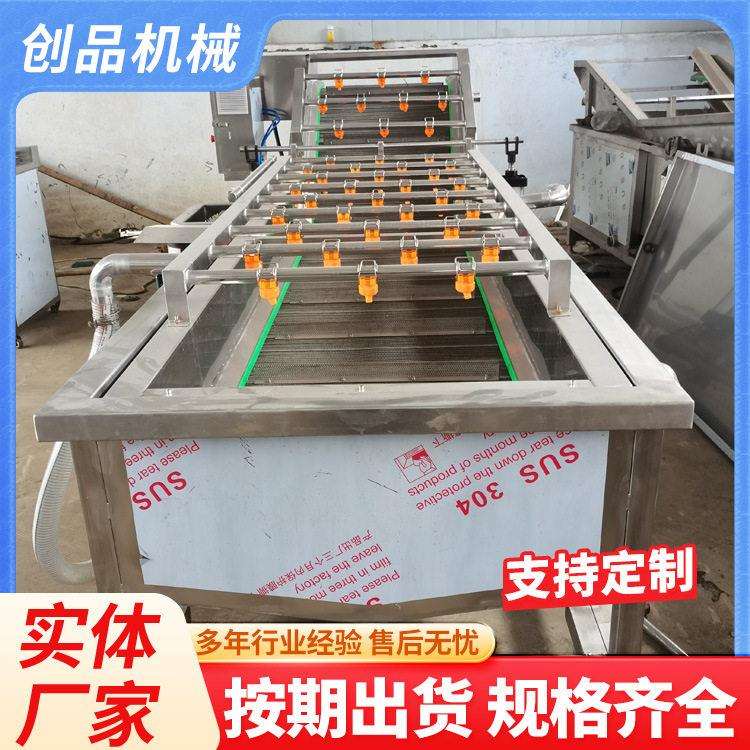 鲜榆钱清洗机鲜菱角清洗机全自动连续式压喷淋气泡清洗机