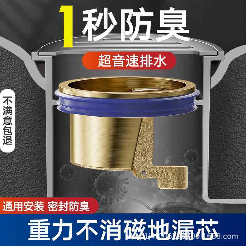 全铜地漏防臭器下水道厕所防反味防虫卫生间下水管内芯返除臭通用