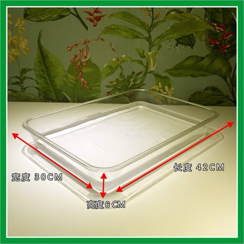 鹦鹉浴盆浴缸泡澡洗澡盆鸟用洗澡盒浴盆鹦鹉用品大全洗澡缸洗澡盒
