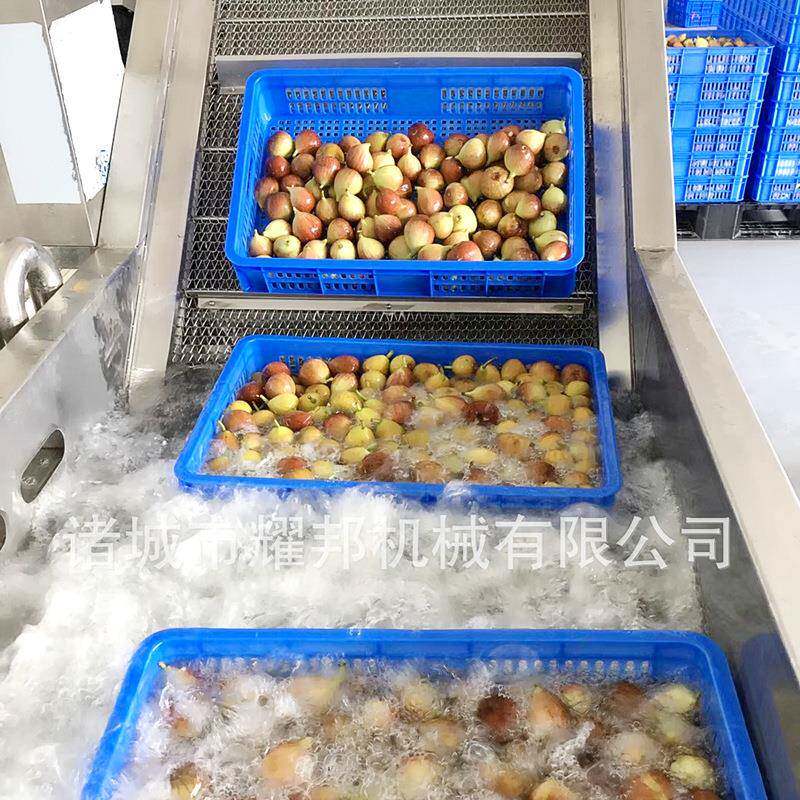 无花果清洗机连续网带传送冬枣清洗设备大型泡沫式全自动洗枣机