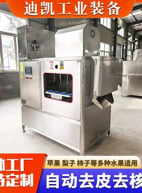 去皮去核机山楂红枣青枣自动捅核去皮设备头果脯果汁加工流水线