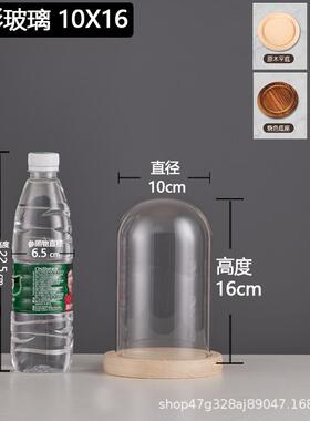 厂家跨境永生干花玻璃装饰摆件