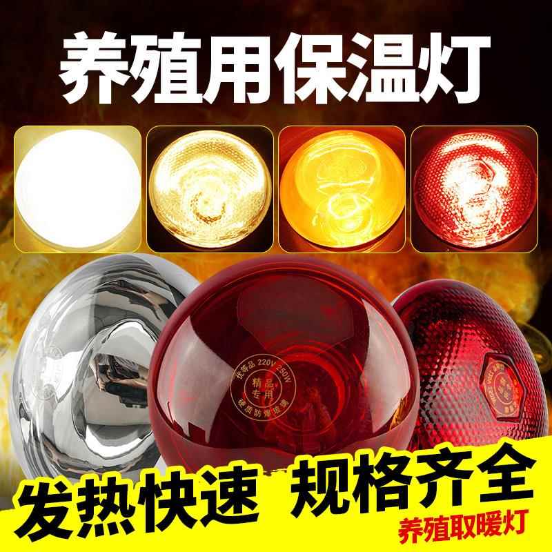 保温灯兽用小猪仔猪育雏取暖灯加热烤灯猪舍养殖场用保温灯灯泡