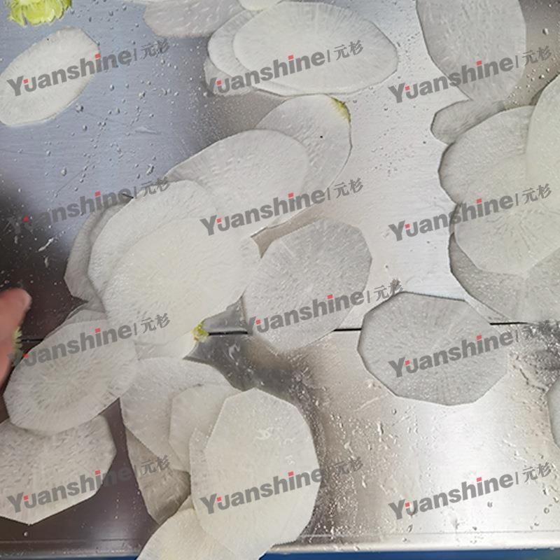 现货果蔬脆片加工设备火龙果猕猴桃切圆片设备商用红薯切片机