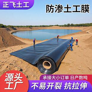 HDPE防渗土工膜水利工程鱼塘养殖防渗膜垃圾填埋场黑色光面土工膜
