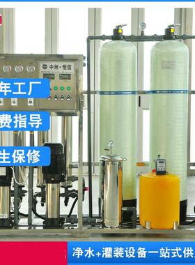 12吨反渗透水处理设备 除盐除垢水处理设备 直饮水处理设备