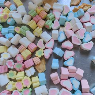 商用大型苹果猕猴桃真空冷冻干燥棉花糖黄桃片低温脱水水果冻干机