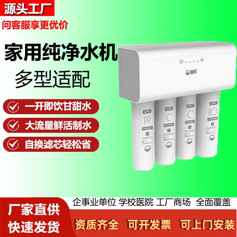 碧丽家用RO反渗透净水器400G大通量一级水效即滤即饮厨下直饮机