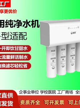 碧丽家用RO反渗透净水器400G大通量一级水效即滤即饮厨下直饮机