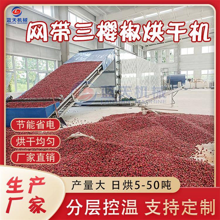 网带三樱椒烘干机隧道式朝天椒烘干设备全自动天鹰小椒干燥设备