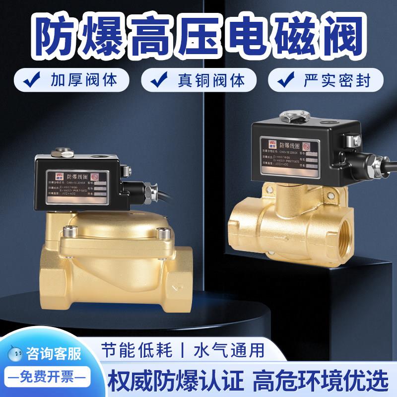 黄铜防爆高压电磁阀常开常闭矿用水阀气阀管道控制开关阀门220v24