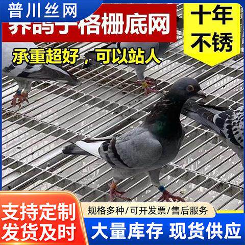 不锈钢格栅鸽舍底网小孔网钢格板漏粪养殖排水沟格栅热镀锌钢格板