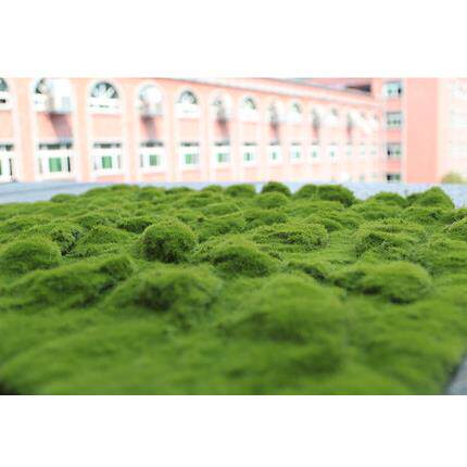 高档绿新型中国风迎模拟松树大型宾松室内件摆景观装饰假树化植物