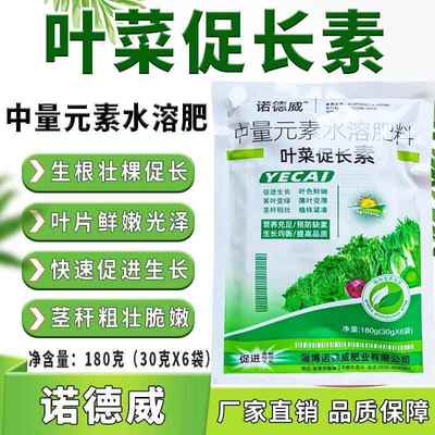 叶菜速长素叶面肥早喷早绿快打快长茎秆粗壮预防小叶黄叶薄叶僵苗