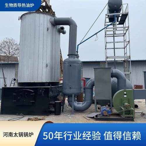 8万燃生物质颗粒燃煤两用导热油炭炉生物0质煤PRE双锅用导热油锅