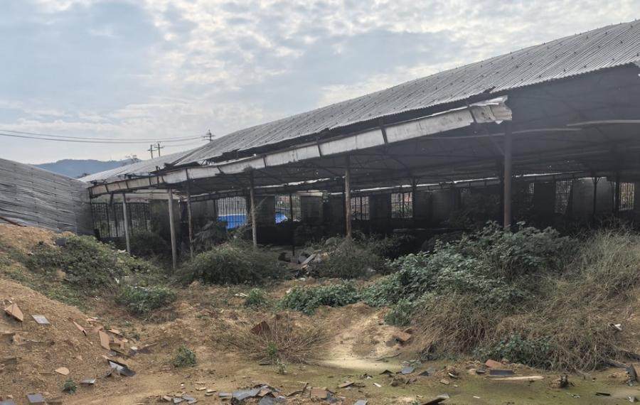 1月29日淄博办公楼、生产厂区仓库、院墙、砼地面等网络拍卖公告