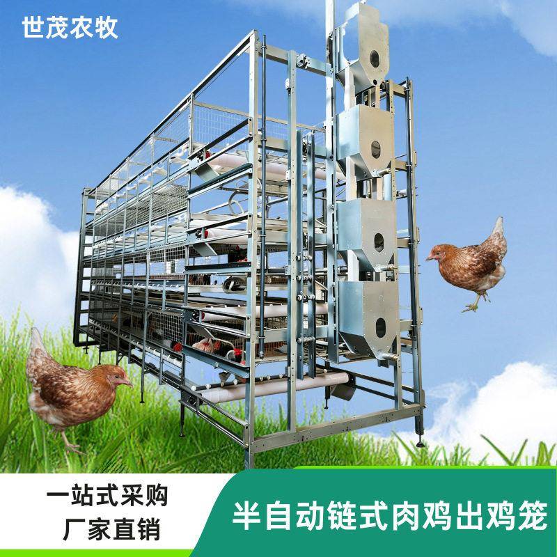 半自动肉鸡养殖笼半自动出鸡自动化喂料喂水自动清粪肉鸡专用