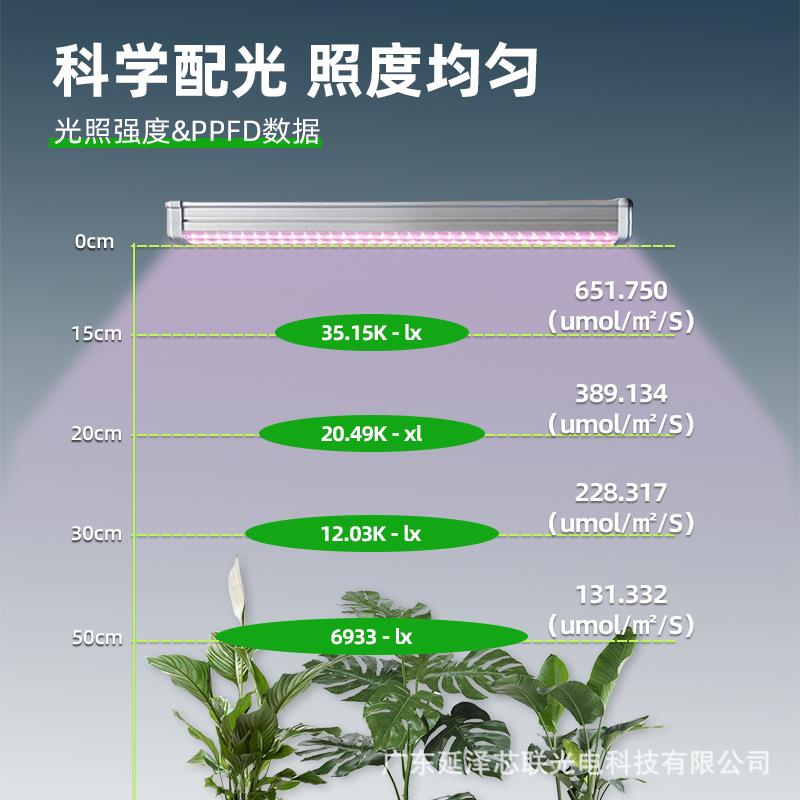 物补生灯全透镜全光谱多肉上色植室内大棚仿长太阳光育苗花COL卉