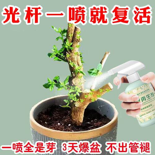 【枯树一喷复活】植物速效急救液花卉绿植多肉水培通用型拯救植物