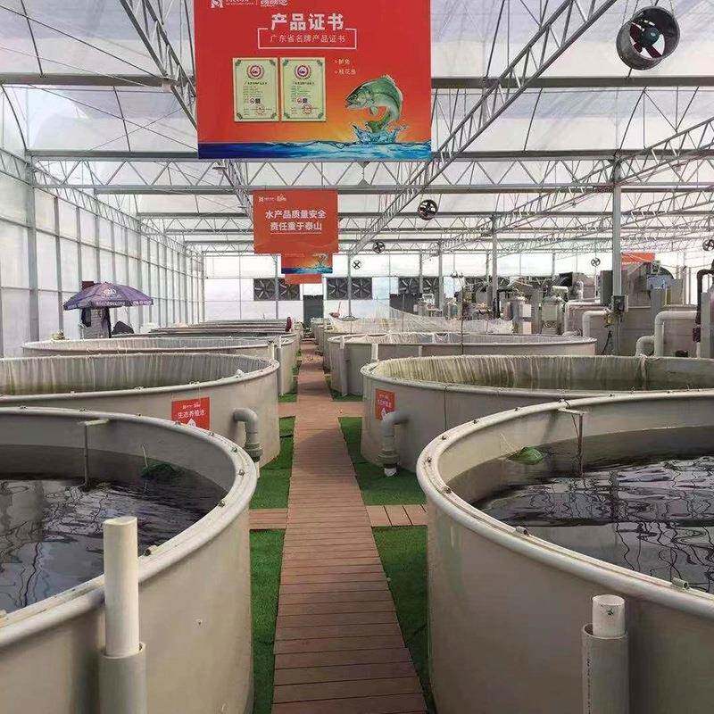 广州厂家规划设计工厂化水产养殖循环水原水处理系统各大小可制作