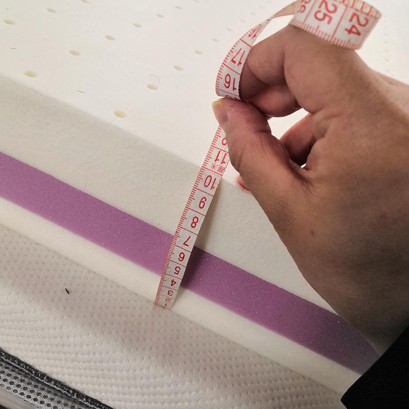 2023新款椰棕乳胶床垫印花学生款家用二面可用立体床垫软垫厂家供