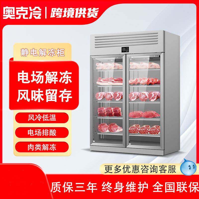 解冻柜商用高压静电低温高湿冷藏缓化和牛抑菌化冻机排酸柜