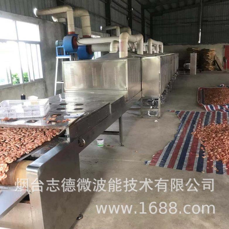 柜式大鱼小虾烘烤设备连续式海产品快速烘干设备微波烘干设备