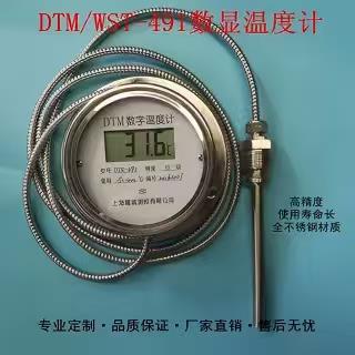 DTM-491数位显示高精度温度计 工业用防水电子温度计带探头