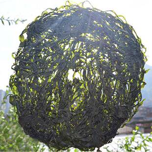 新货海带丝干货500g无沙免洗福建霞浦烘干海带丝凉拌火锅烧烤商用