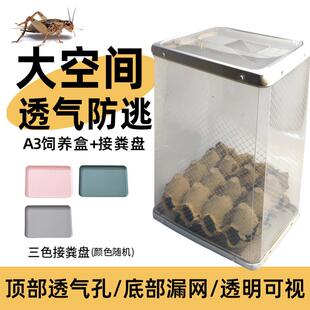 爬宠A3饲养盒透明组装盒透气漏粪便面包虫杜比亚 蛐蛐防逃饲养盒