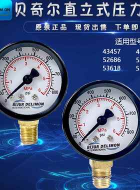 南京贝奇尔BIJUR DELIMON润滑油泵注油机压力表0-6MPA油压表43457