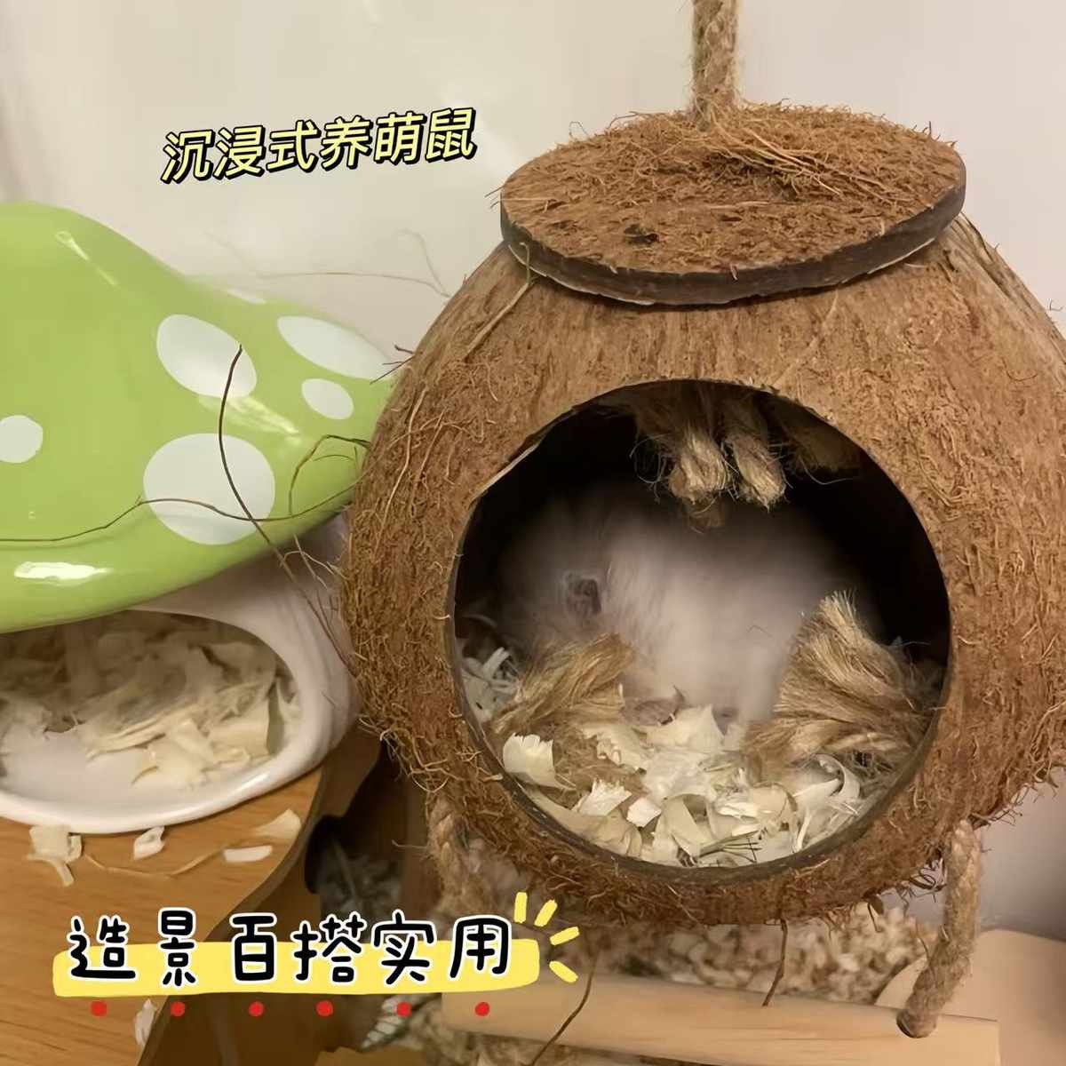 Diy仓鼠椰壳窝躲避屋金丝熊房子四季通用别墅窝椰子小窝造景用品