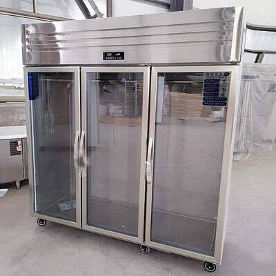 挂肉柜商用冷冷藏保排鲜冰柜吊肉柜挂展牛羊肉冰冻柜立式示酸冷柜