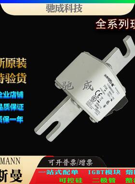 巴斯曼170M4259 170M4260 170M4261 大量现货价格优惠 快熔保险丝