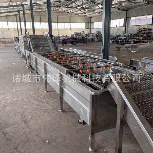 喷淋式叶类菜气泡冲浪清洗机小型圆椒清洗设备商用去杂质洗菜机