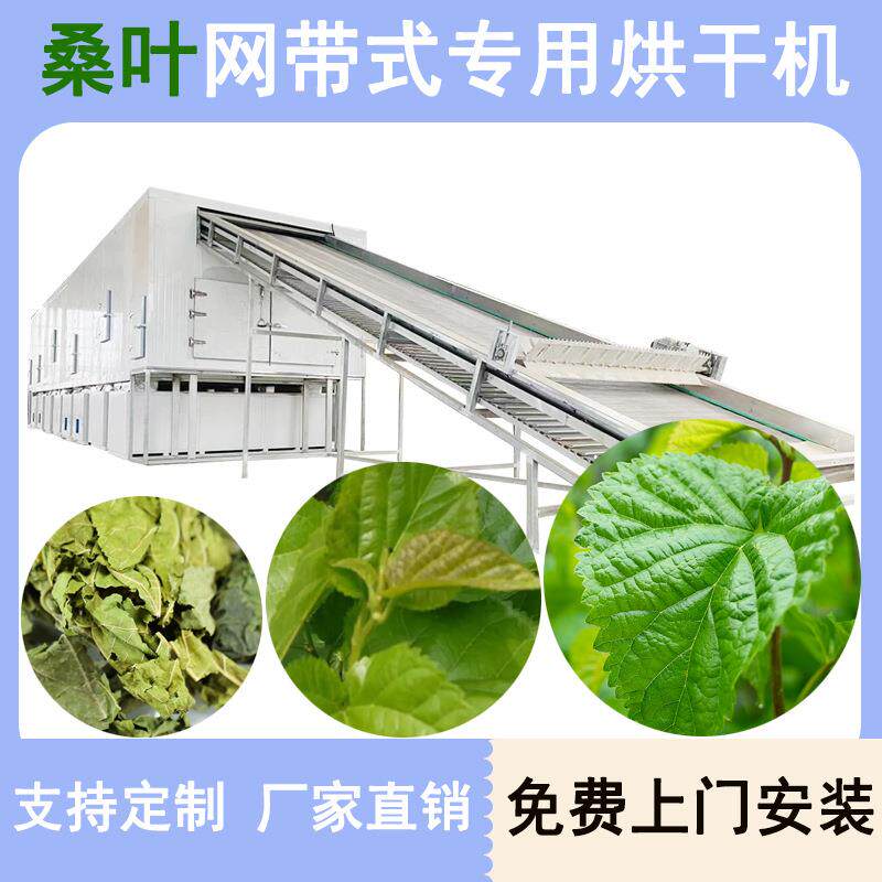 网带桑叶烘干机多层网带霜桑叶铁扇子烘干设备蚕叶中药材干燥机