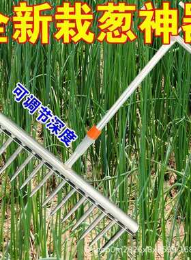 【栽苗打孔器】栽葱神器种菜工具大葱种植叉子栽苗农用小型打孔器